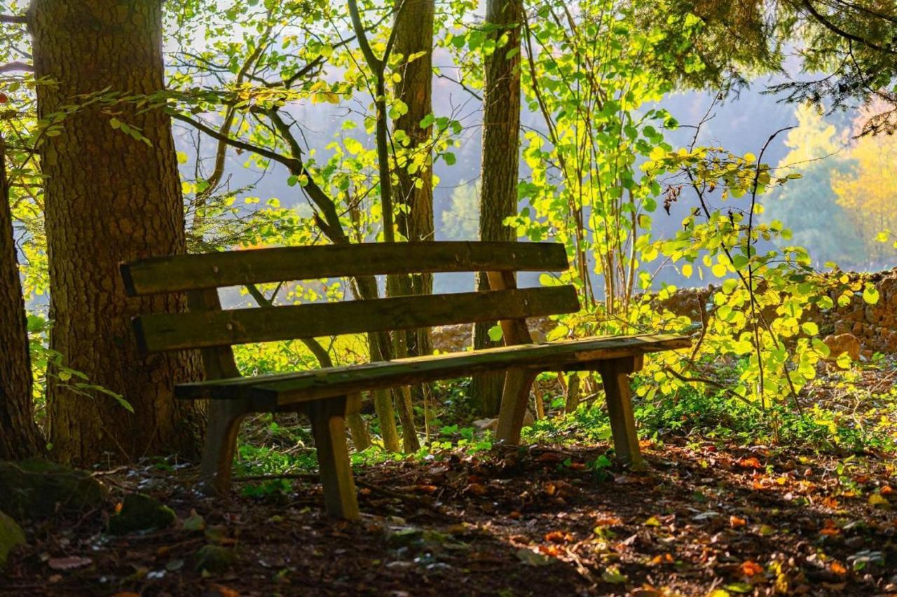 Ferienwohnungen Bauer - Auszeit Mit Ausblick Zenting Exteriér fotografie